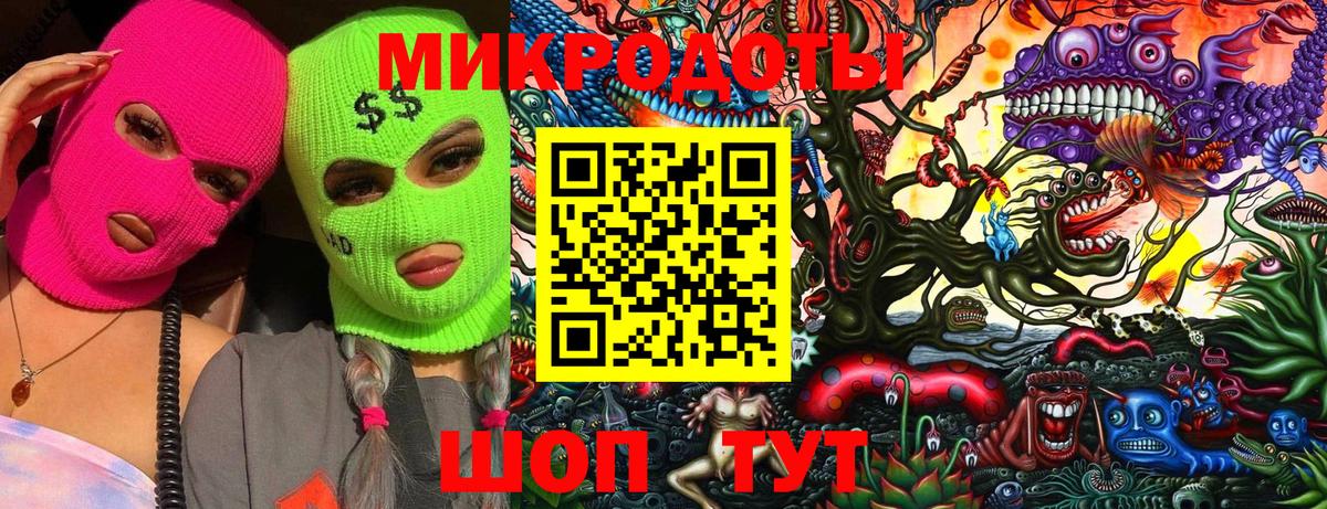 Псилоцибиновые грибы Cubensis Юрга