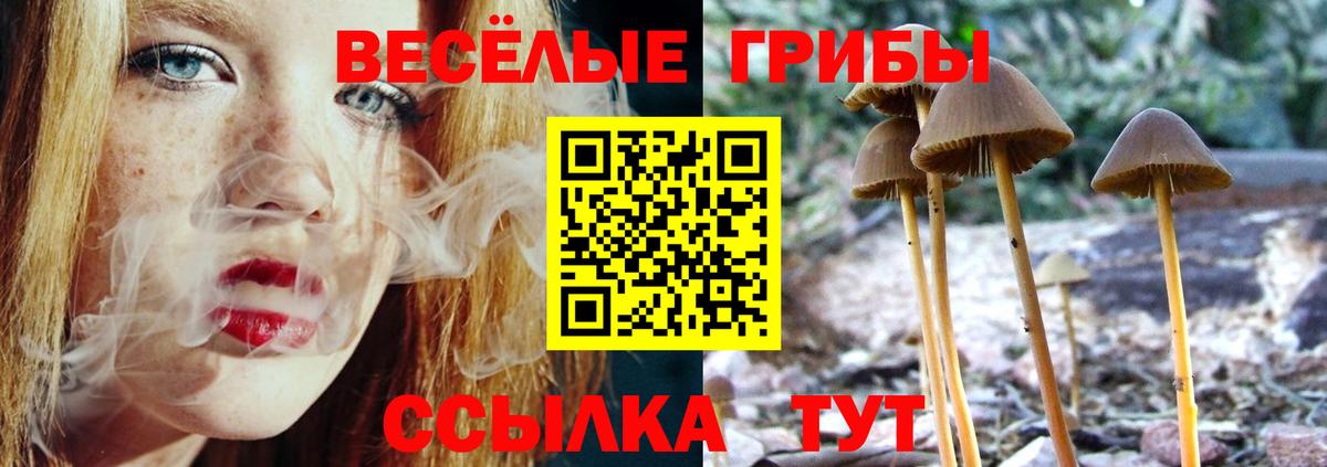 Галлюциногенные грибы MAGIC MUSHROOMS  Галлюциногенные грибы ЛСД  Юрга  хочу наркоту  Вход с VPN 